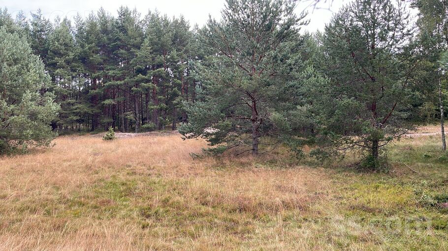 Lōrm nītõd, Sīkrags, Talsi un raj., Kolkas pag. — zeme