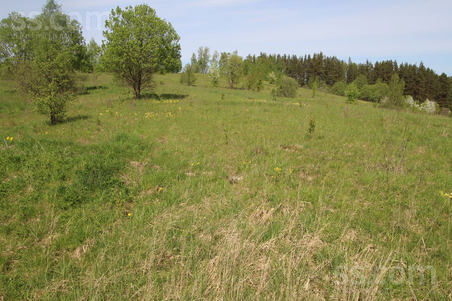 Kāši-Ventas, Daugavpils un raj., Medumu pag. — zeme
