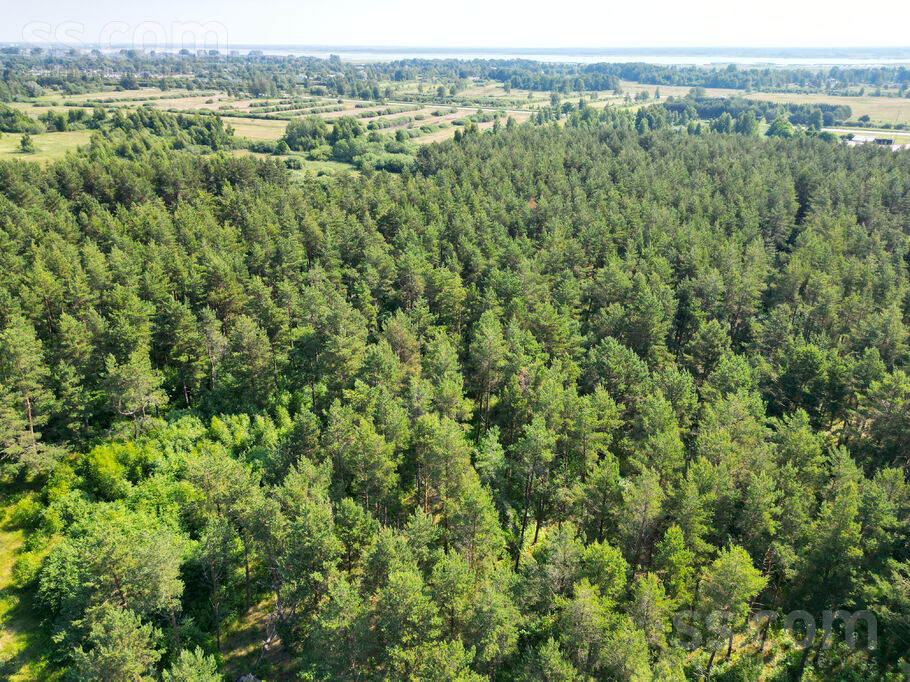 Grīnvalti 2, Liepāja un raj., Nīcas pag. — zeme