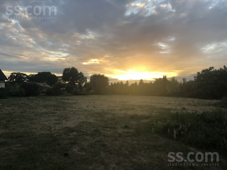 Sauliešu iela 8a, Dreiliņi, Rīgas rajons, Stopiņu nov. — zeme