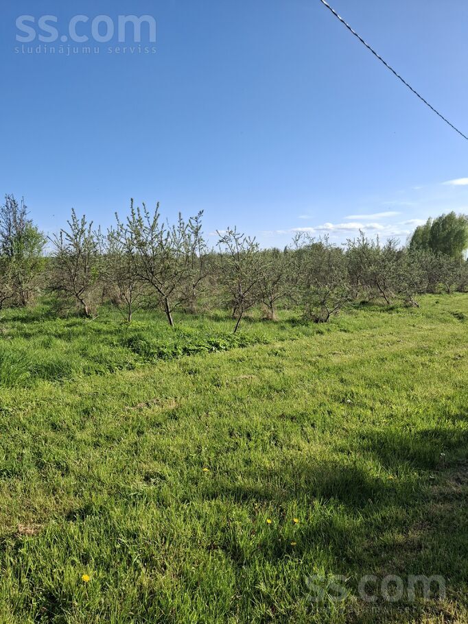 Dzintari, Cimāles, Jelgava un raj., Līvbērzes pag. — maja