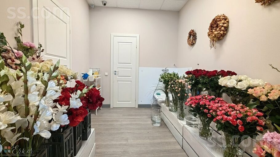 Bauskas 33, Rīga, Torņakalns — telpa