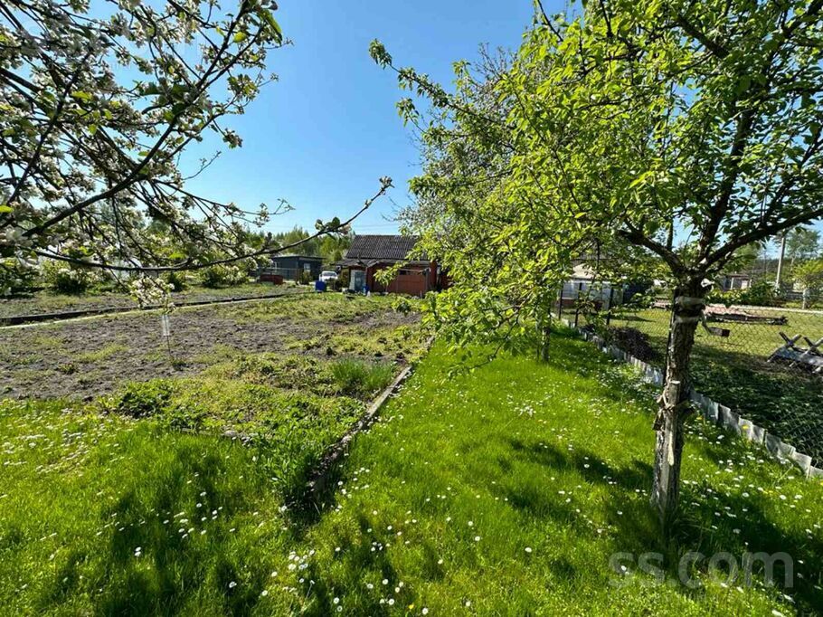 Rosības 3, Rosība, Jelgava un raj., Līvbērzes pag. — maja