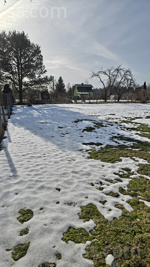 Ceriņi-M 4740, Jāņupe, Rīgas rajons, Olaines pag. — maja