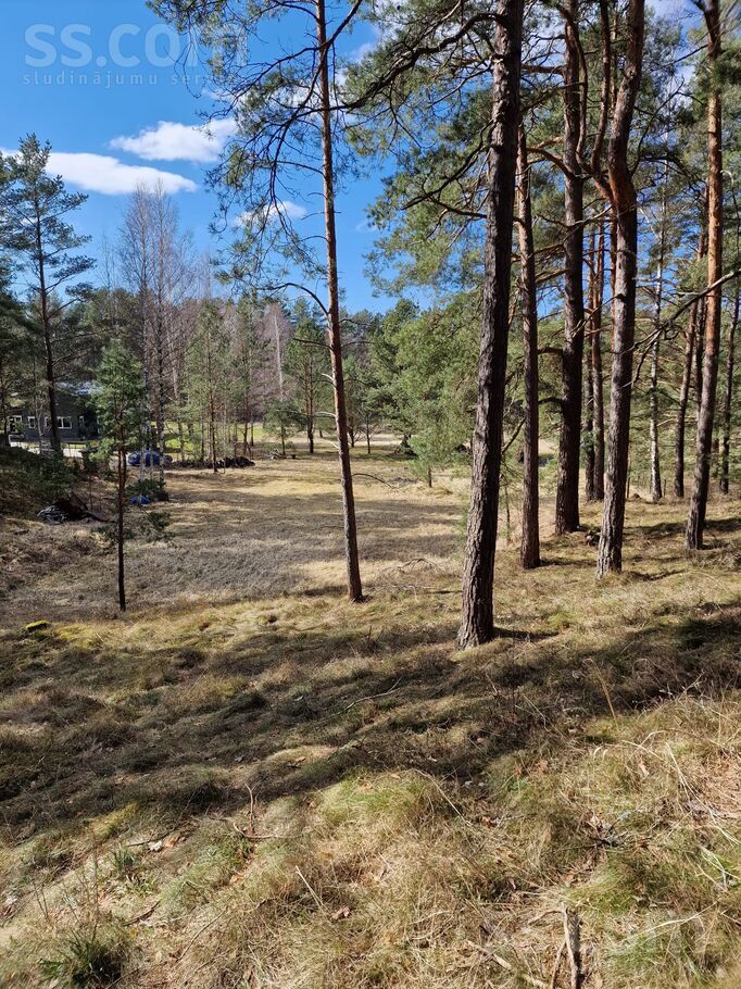 Sēkļi, Lilaste, Rīgas rajons, Saulkrastu l. t. — zeme