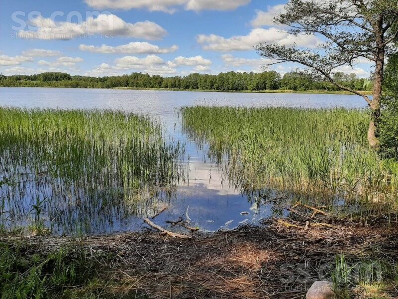 Cēsu ceļs, Auciems, Cēsis un raj., Raiskuma pag. — zeme