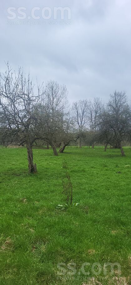 Vitkuški, Daugavpils un raj., Eglaines pag. — vienseta