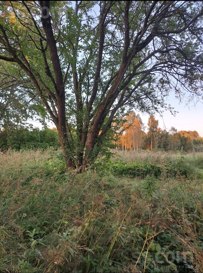 Vīnkalni, Limbaži un raj., Liepupes pag. — zeme