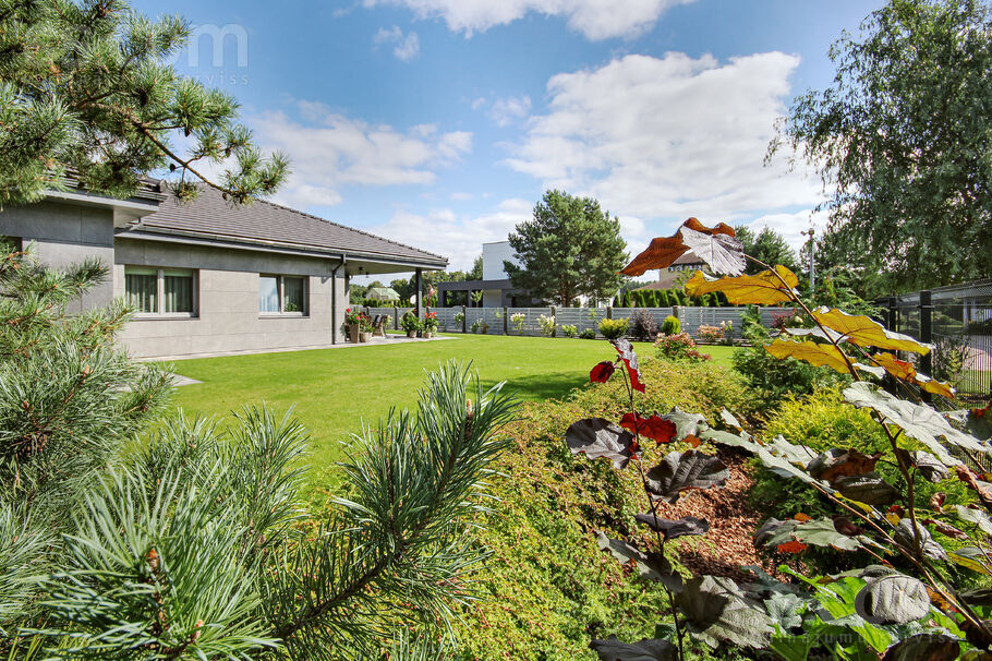 Sebru, Sēbruciems, Rīgas rajons, Babītes pag. — maja