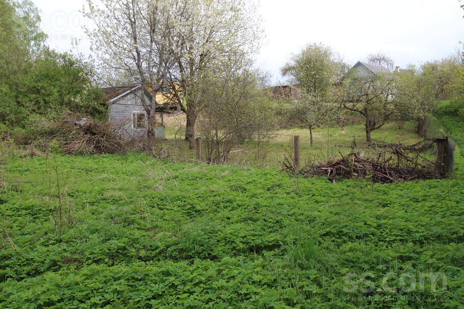 Atpūta Griškāni 59, Dreizi, Rēzekne un raj., Griškānu pag. — maja