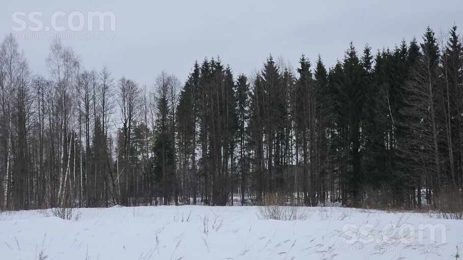 Krauļi 1, Bauska un raj., Bauska — zeme