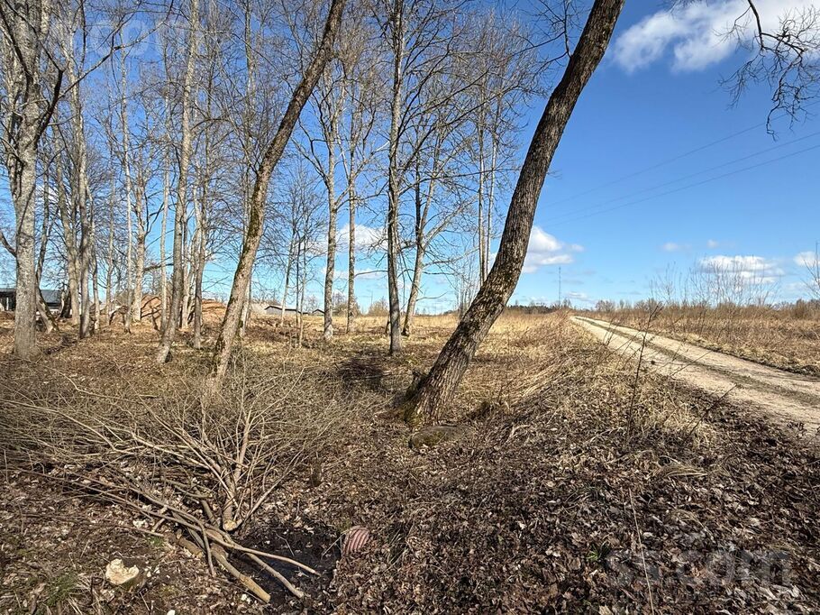 Muižas, Liepupe, Limbaži un raj., Liepupes pag. — zeme