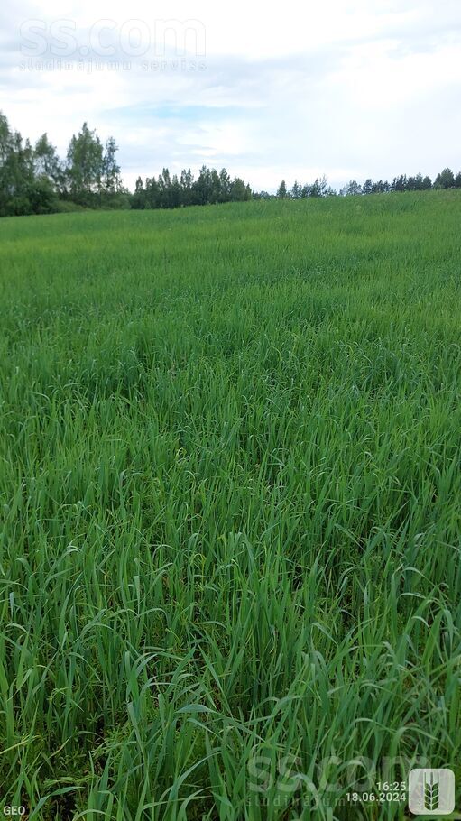 H 1, Faļtopi, Daugavpils un raj., Salienas pag. — zeme