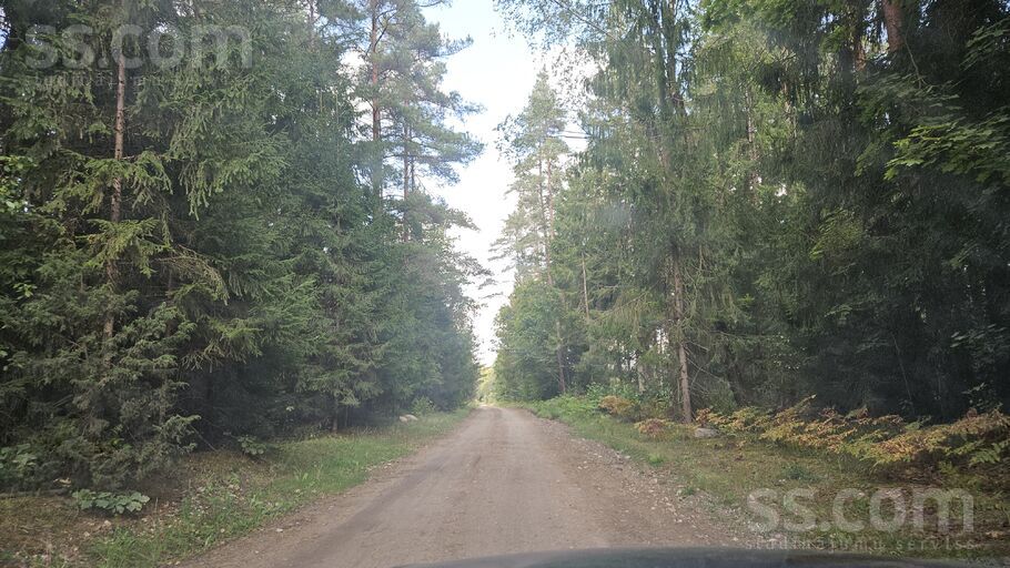 Krauļi 1, Bauska un raj., Bauska — zeme