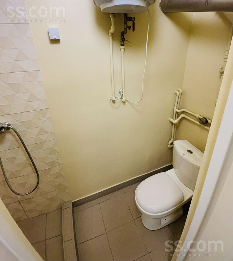 Ūldzes 6, Grenctāle, Bauska un raj., Brunavas pag. — dzivoklis