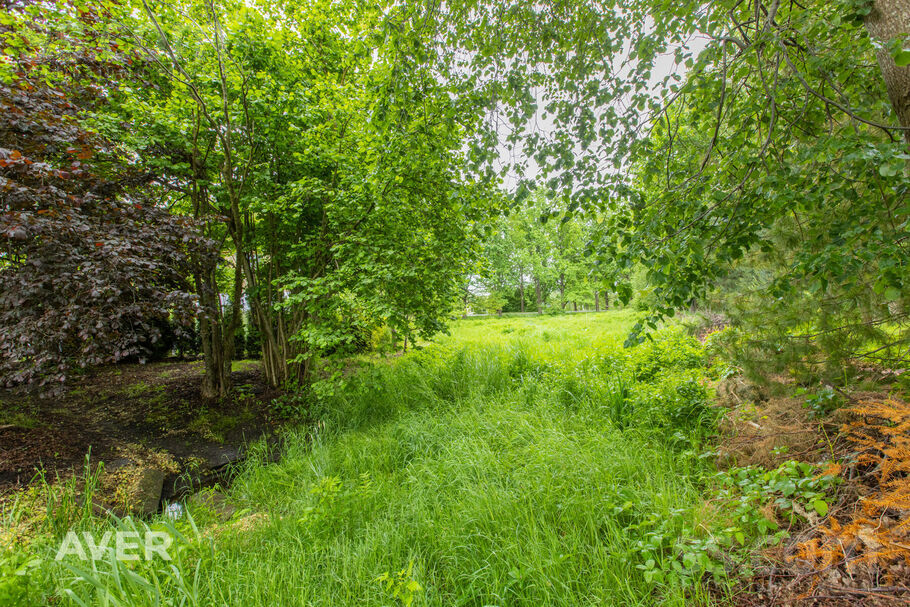 Tērvetes 170b, Jelgava un raj., Jelgava — zeme