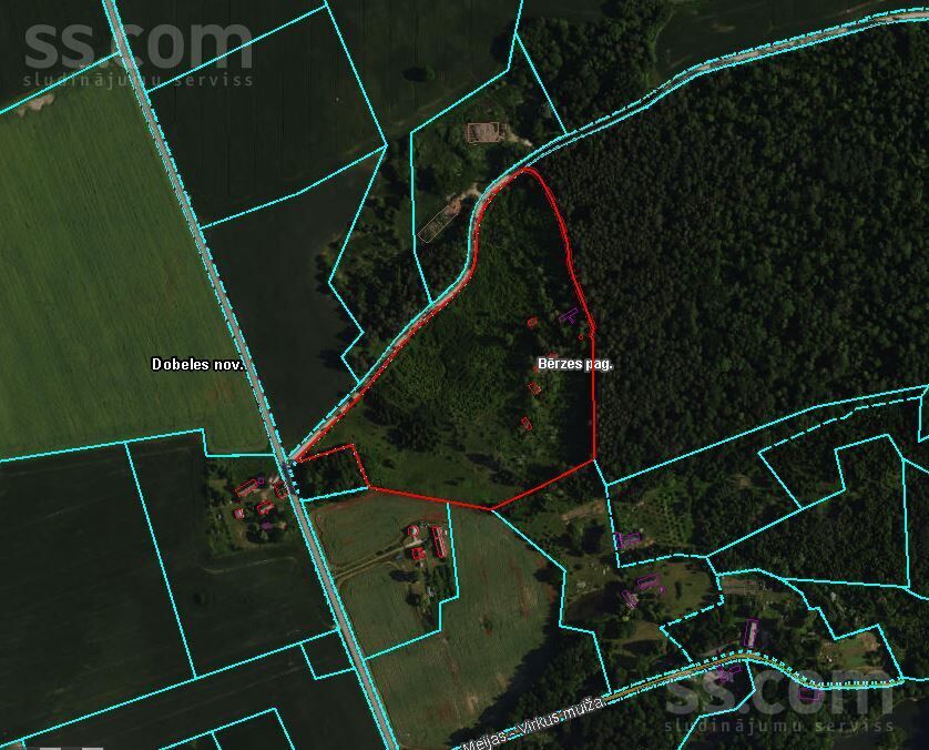 Dobele un raj., Dobele — vienseta