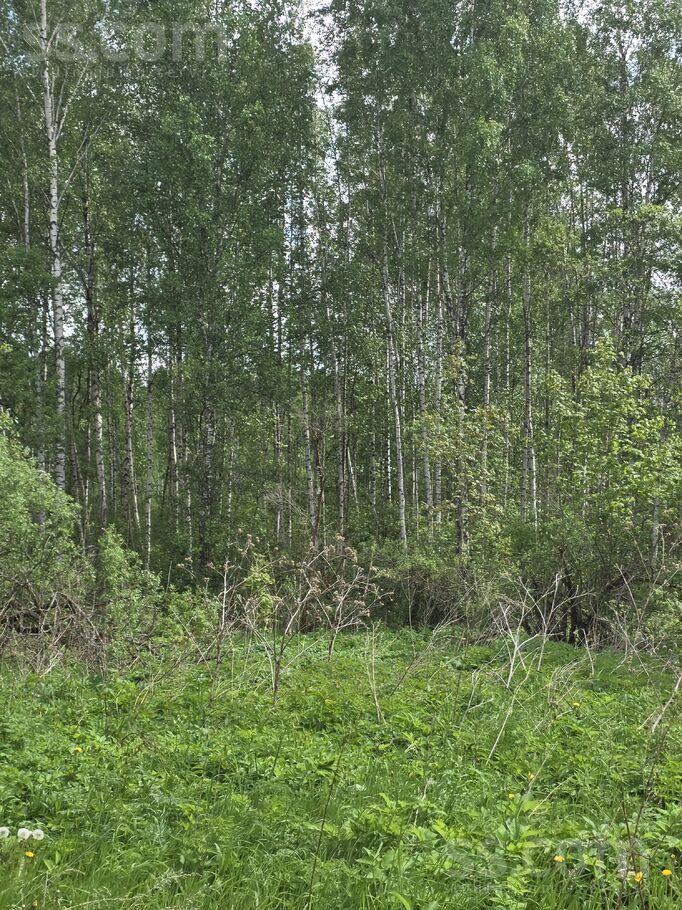 Stankeviči, Krāslava un raj., Andrupenes pag. — mezs