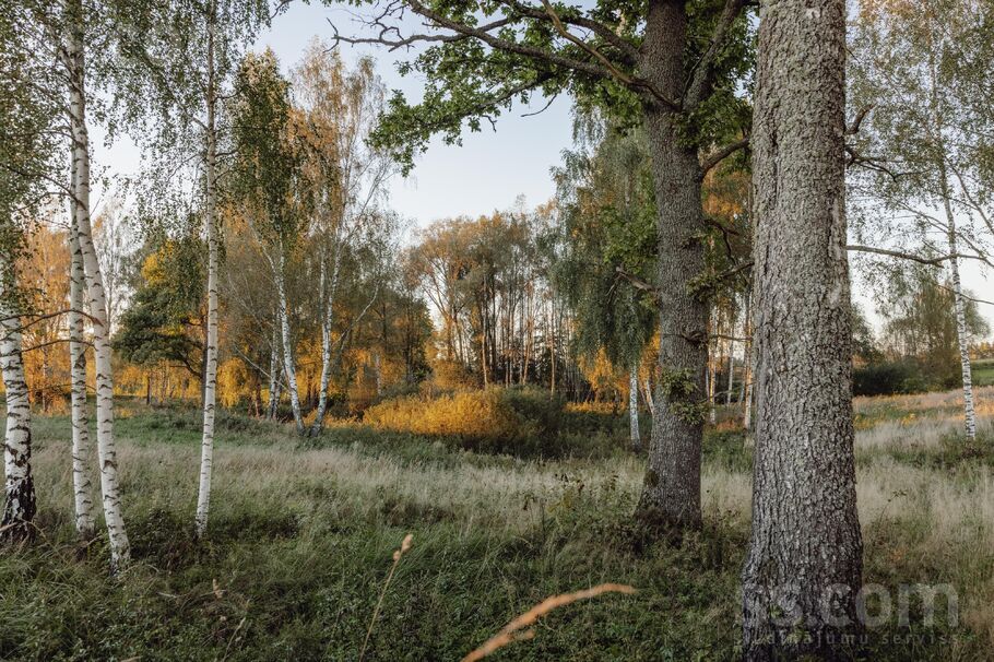 Drabeši, Cēsis un raj., Drabešu pag. — vienseta