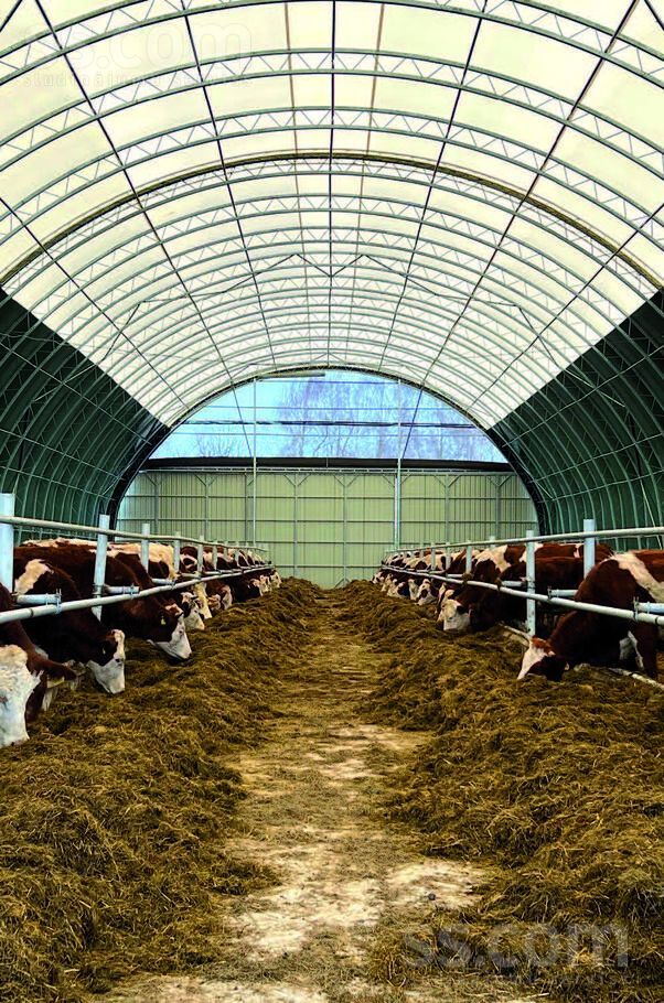 Unknown address — telpa