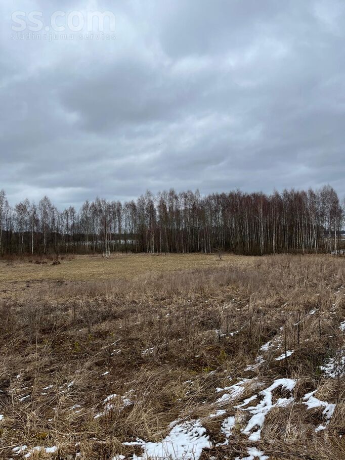 Dzirnupes, Krištopeņi, Preiļi un raj., Rušonas pag. — maja