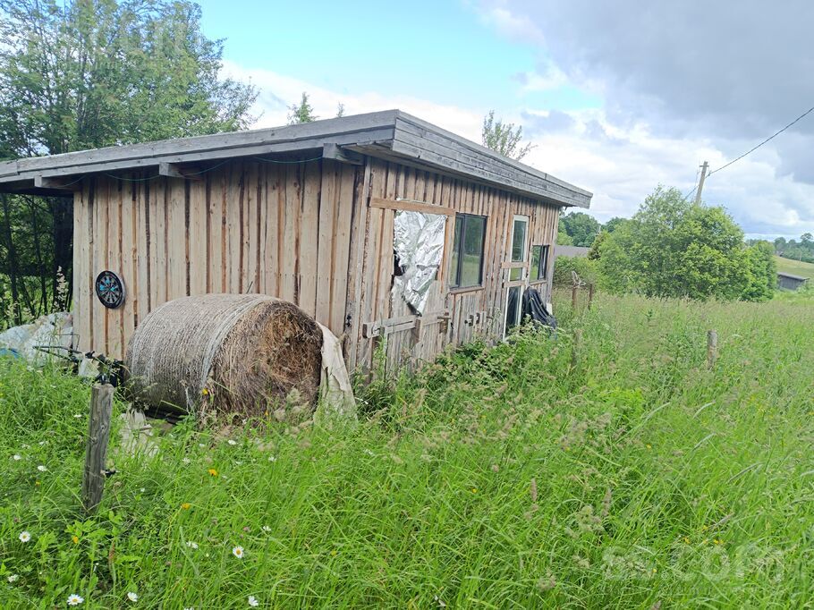 Dārziņš 72, Salas, Madona un raj., Praulienas pag. — maja