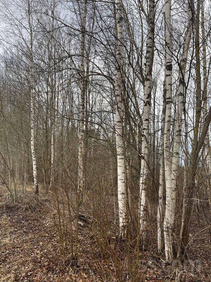 Kaušu mājas, Ivdrīši, Preiļi un raj., Preiļu pag. — zeme