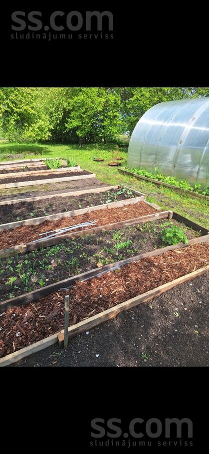 Sala iela 2, Jelgava un raj., Jelgava — dzivoklis