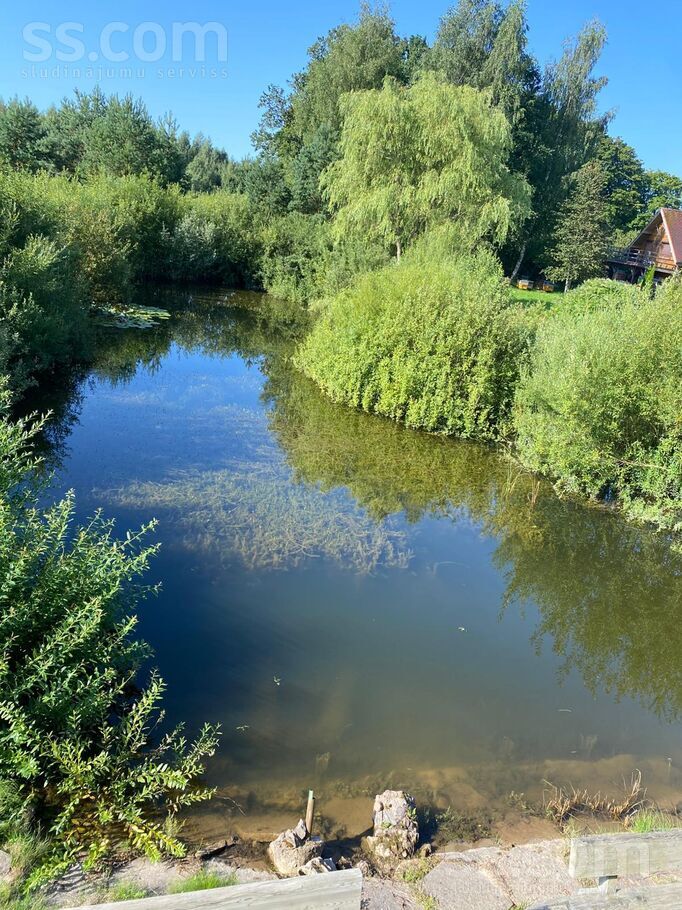 Birzgale, Ogre un raj., Birzgales pag. — vienseta