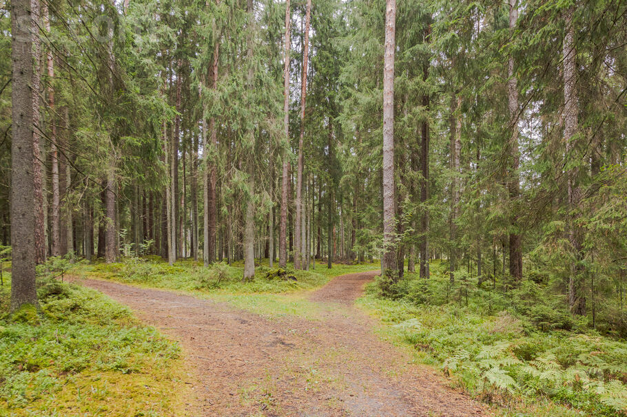 Vārpas iela 10, Ogre un raj., Ogre — zeme