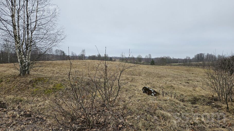 Rāznas iela 12, Lūznava, Rēzekne un raj., Lūznavas pag. — zeme