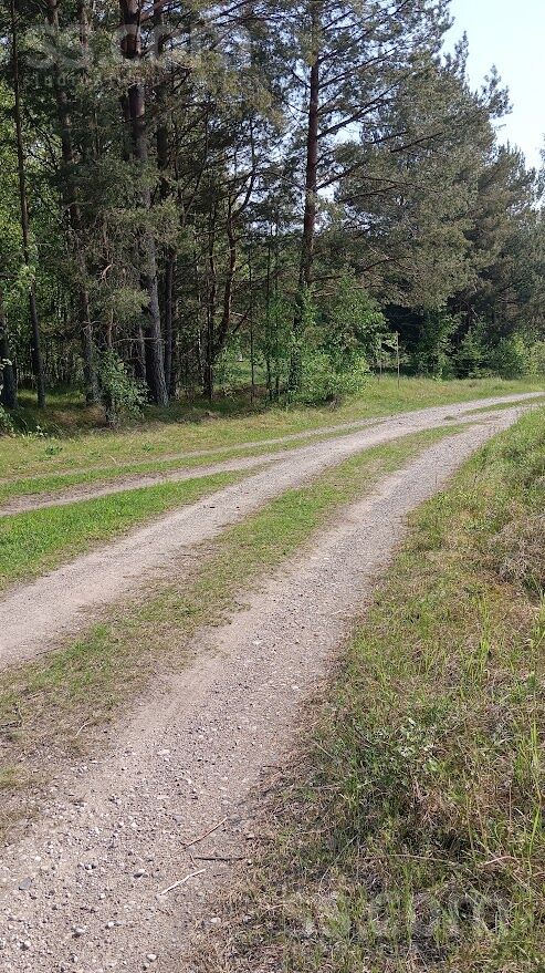 Lōrm nītõd, Sīkrags, Talsi un raj., Kolkas pag. — zeme