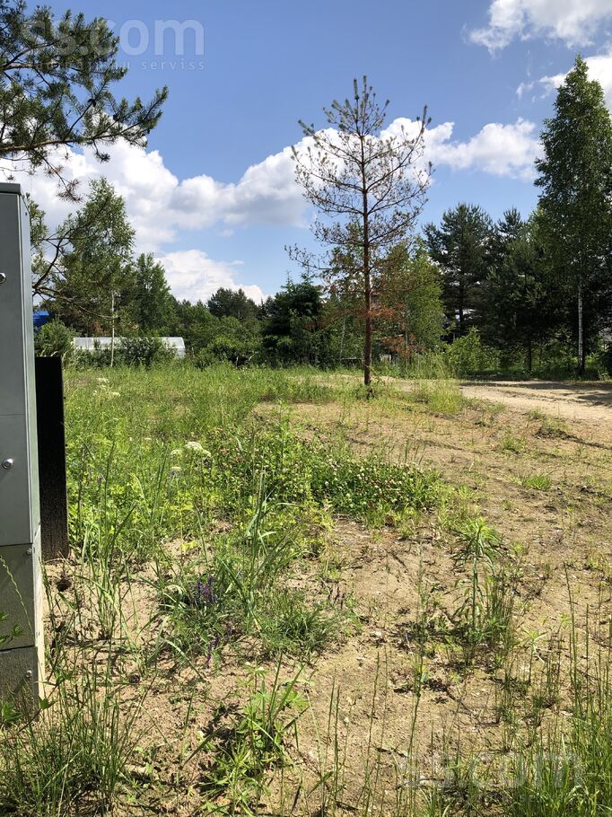 Virši 58, Virši, Rīgas rajons, Olaines pag. — zeme