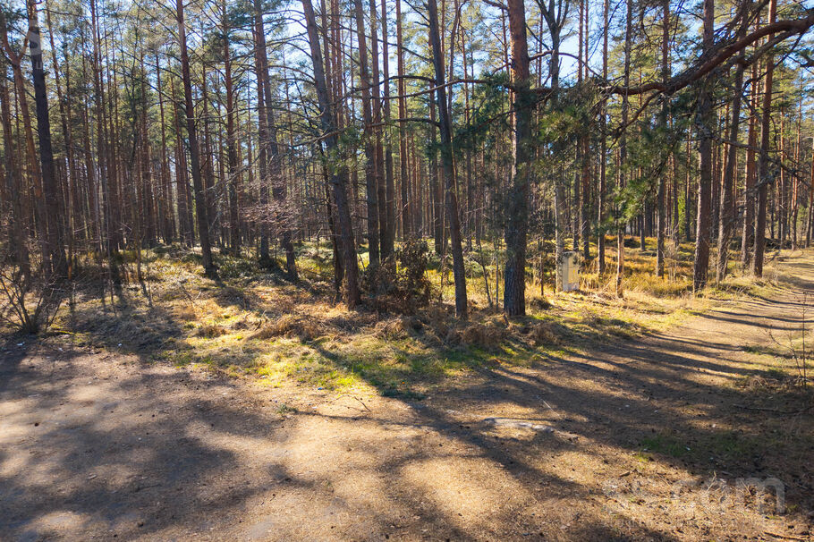 Stīgu iela 2, Jūrmala — zeme