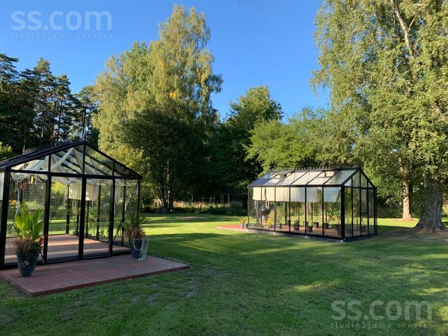 Plūmes/oāzes, Mazirbe, Talsi un raj., Kolkas pag. — maja