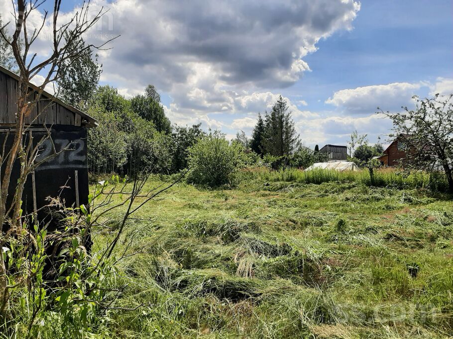 Daugava 272, Daugava, Daugavpils un raj., Kalkūnes pag. — zeme