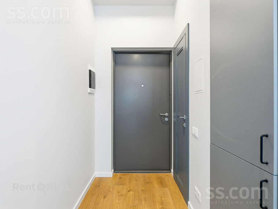 Birznieka-Upīša 20a, Rīga — dzivoklis