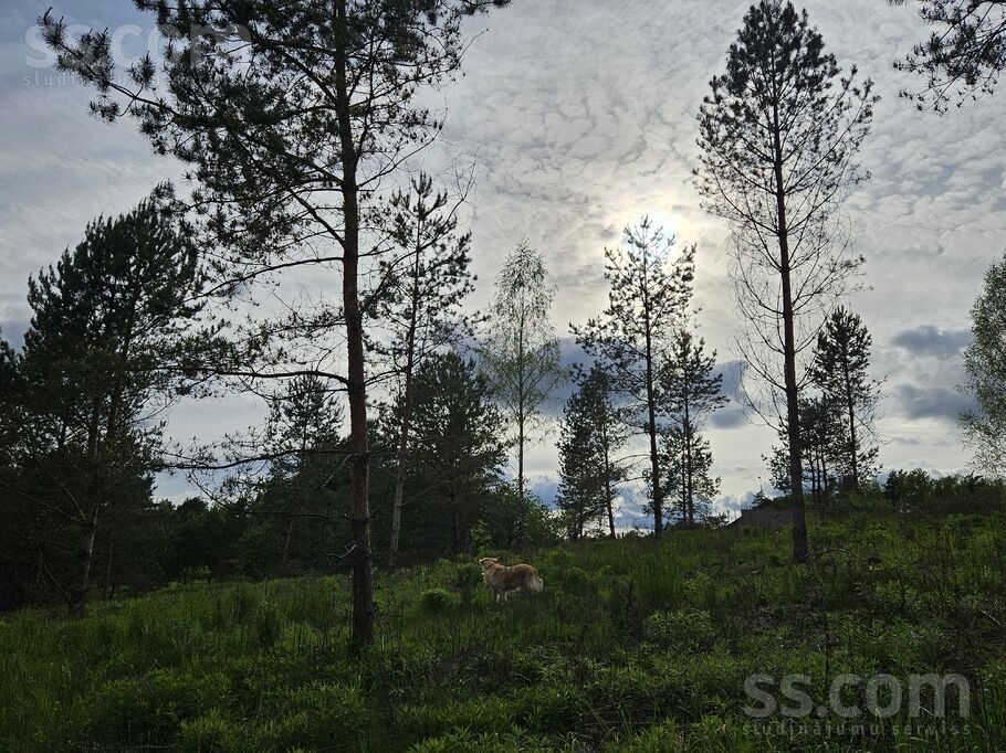 Pieneņu ceļš 19, Ogre un raj., Ogre — zeme