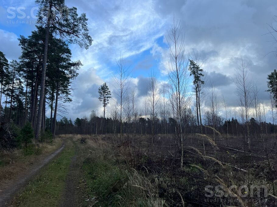 Mežkrogzemnieki, Skulte, Limbaži un raj., Skultes pag. — zeme
