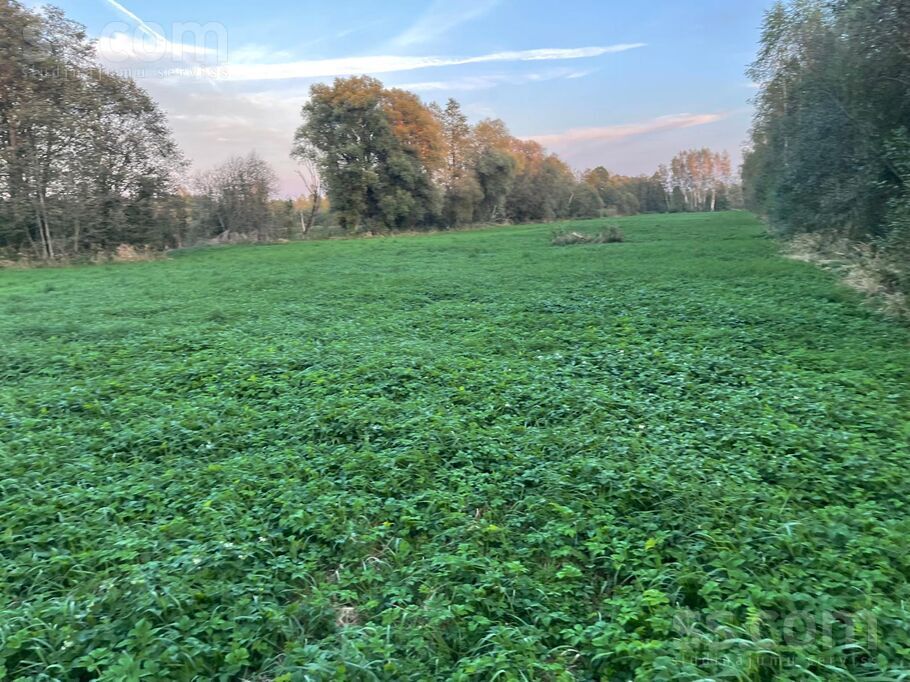 Jeņči, Rīgas rajons, Ķekavas pag. — zeme