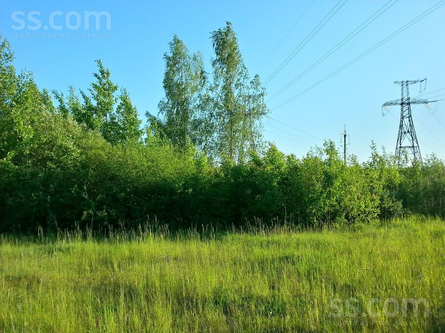 Jaunkaziķi, Dole, Rīgas rajons, Salaspils l. t. — zeme