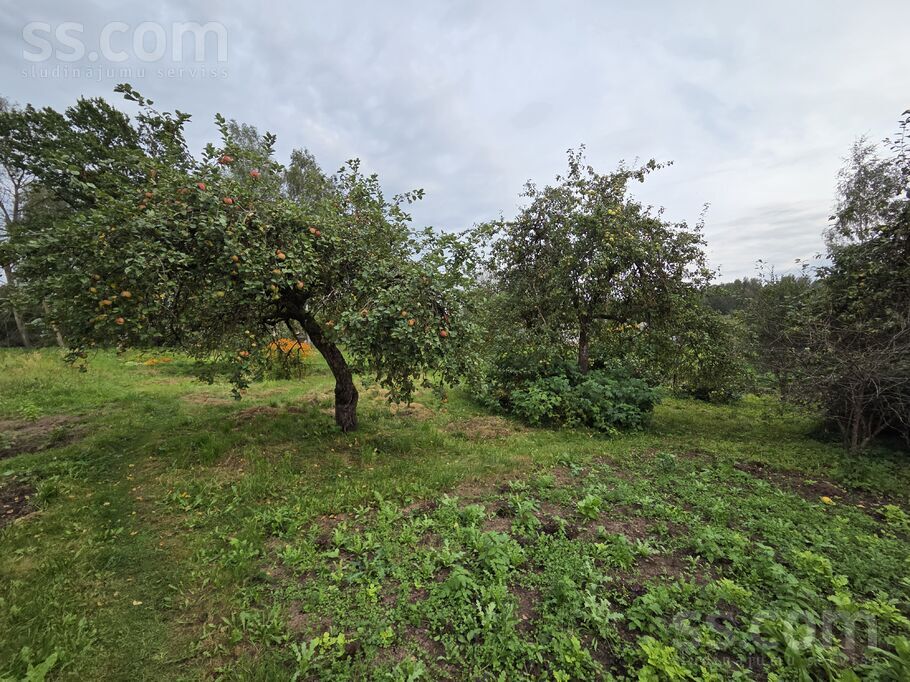 Skolas iela 9, Šķeltova, Krāslava un raj., Šķeltovas pag. — maja