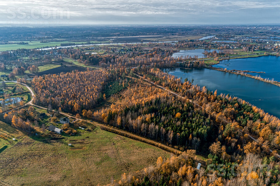 Jauneglītes, Tetele, Jelgava un raj., Cenu pag. — zeme