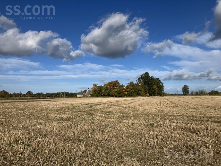 Dzirnieki, Jelgava un raj., Jaunsvirlaukas pag. — vienseta