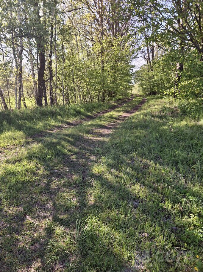 Dzintari, Cimāles, Jelgava un raj., Līvbērzes pag. — maja