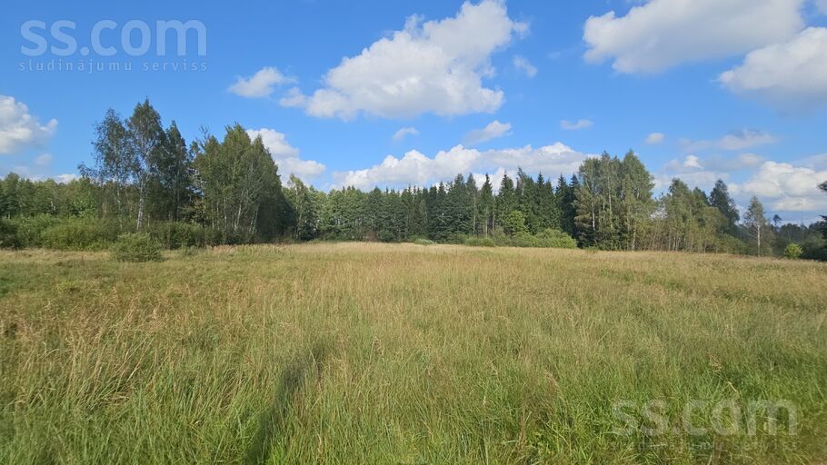 Krauļi 1, Bauska un raj., Bauska — zeme