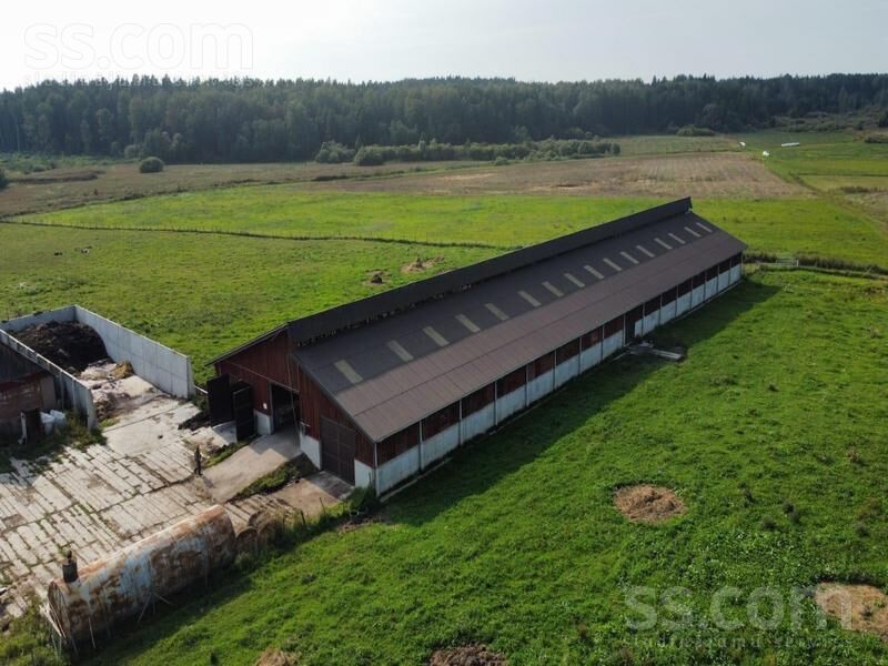 Kalna pupoli, Šengeida, Daugavpils un raj., Skrudalienas pag. — telpa