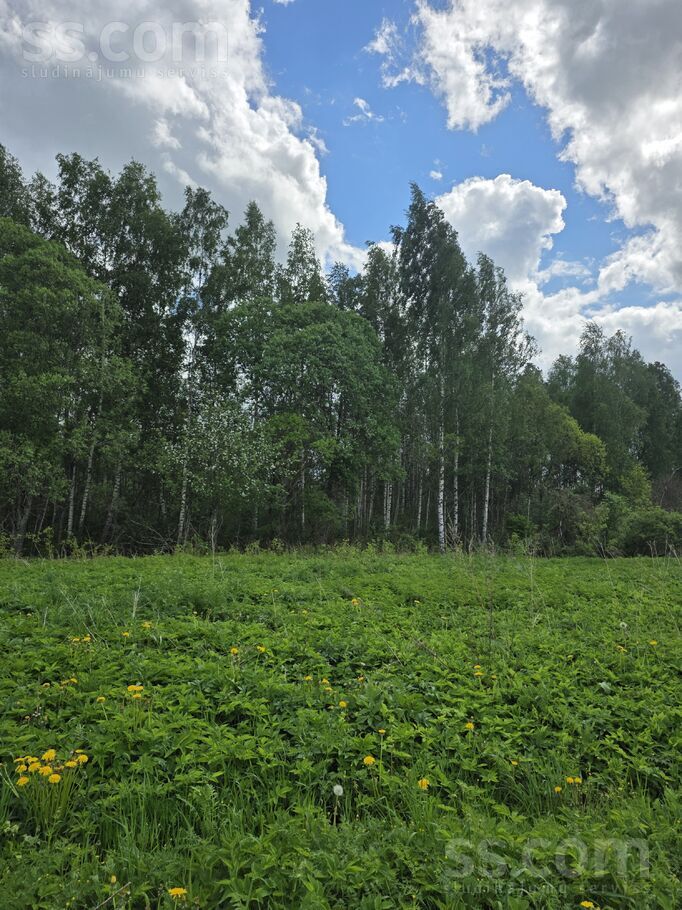 Stankeviči, Krāslava un raj., Andrupenes pag. — mezs