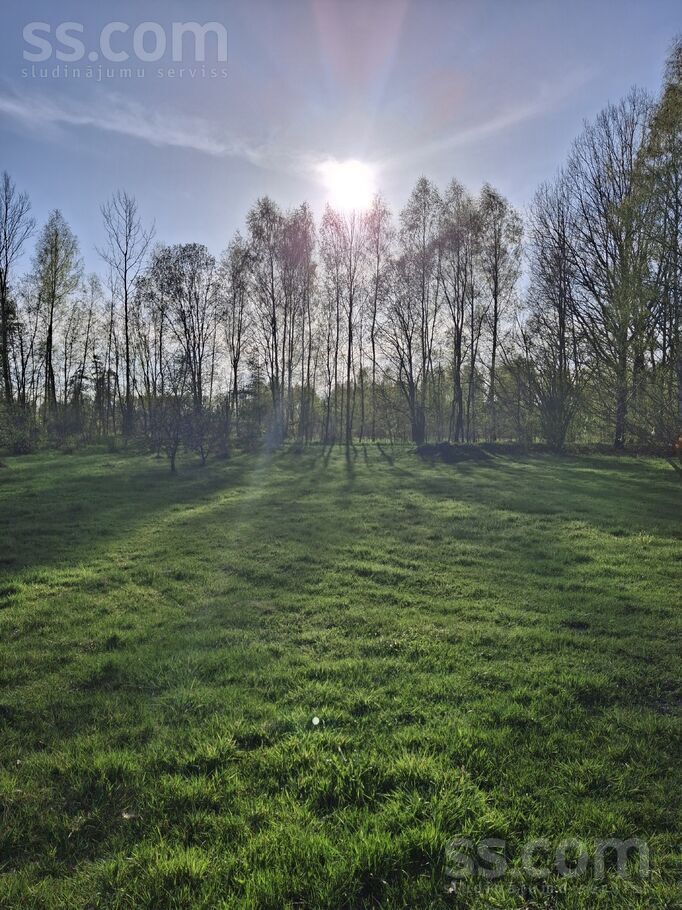 Dzintari, Cimāles, Jelgava un raj., Līvbērzes pag. — maja