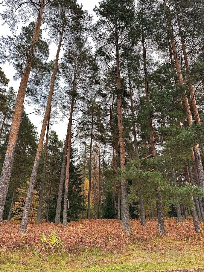 Briežu iela 36, Lapsas, Rīgas rajons, Babītes pag. — zeme